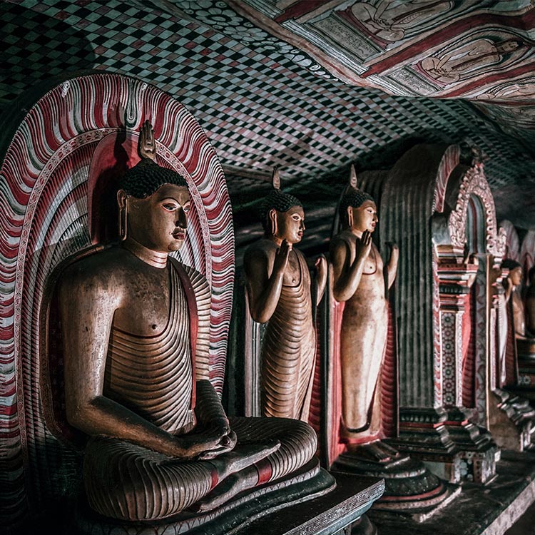 The brownish Lord Buddha Statues at Dambulla Cave Temple