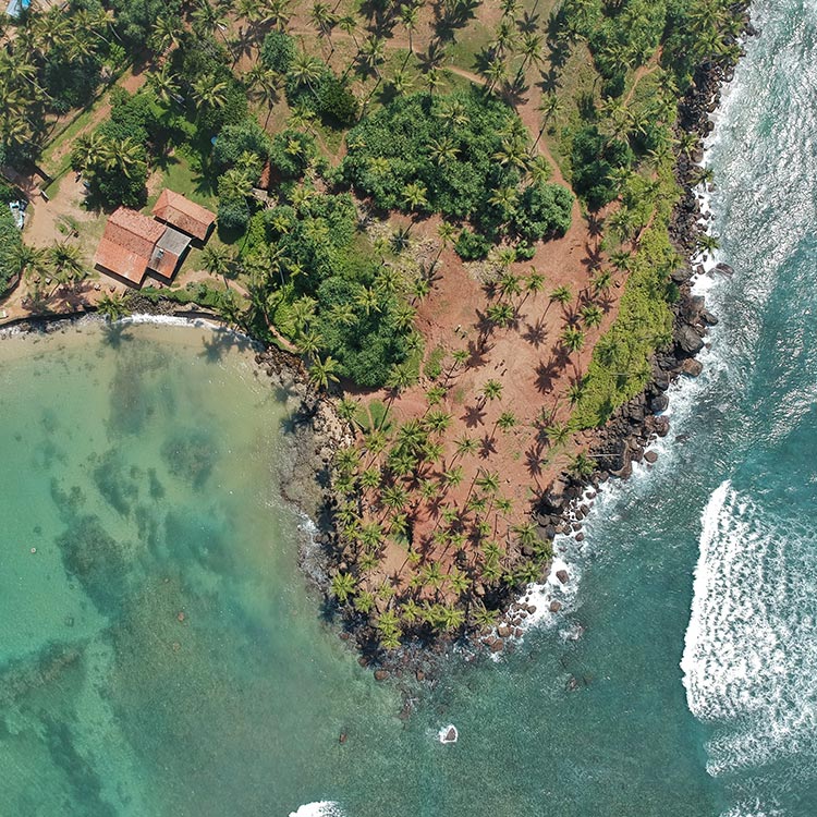An Aerial View that shows the beauty of Mirissa, the ocean, shore, and the greenery around