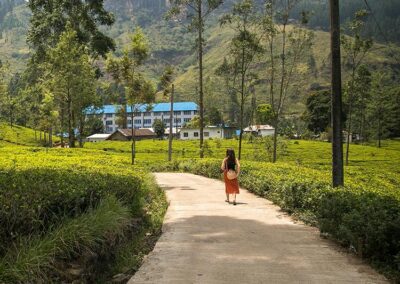 A foreign girl walking down the path of a tea factory that is located by a tea estates