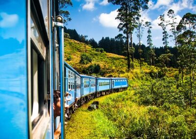 A blue colour Train Passing Through the Greenery