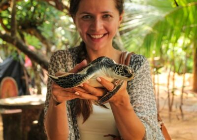 A foreign lady holding a baby turtle at a turtle hatchery in Sri lanka