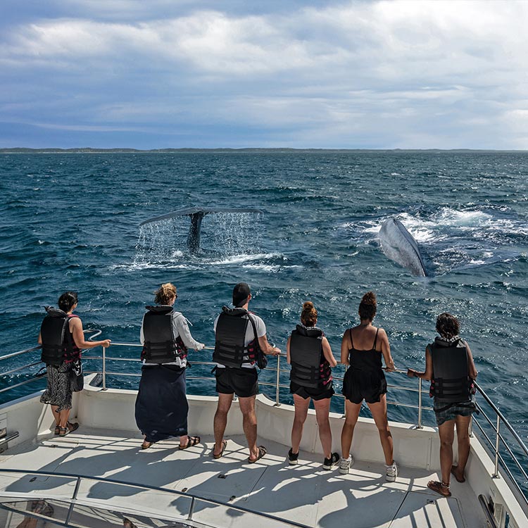 Tourists on a Boat while Whale Watching at Mirissa