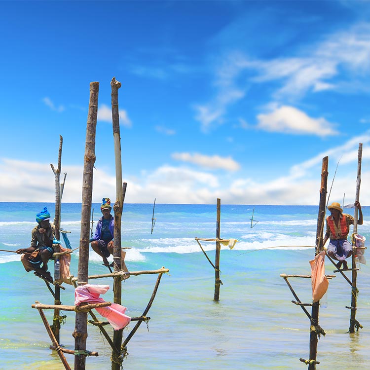 Stilt Fishermen catching fish while being on the sticks in the ocean at Bentota, Sri Lanka