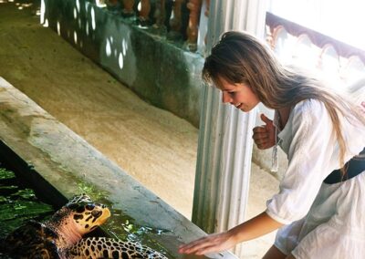 A Foreign lady in white, observing a turtle at a turtle farm at Bentota, Sri Lanka