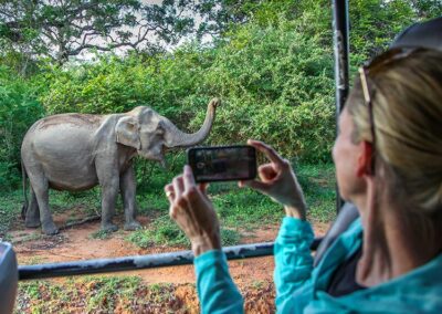A Foreigner Capturing an Elephant while on a Jeep Safari