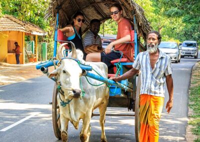 A Foreign Couple Going on a Bullock Cart Ride