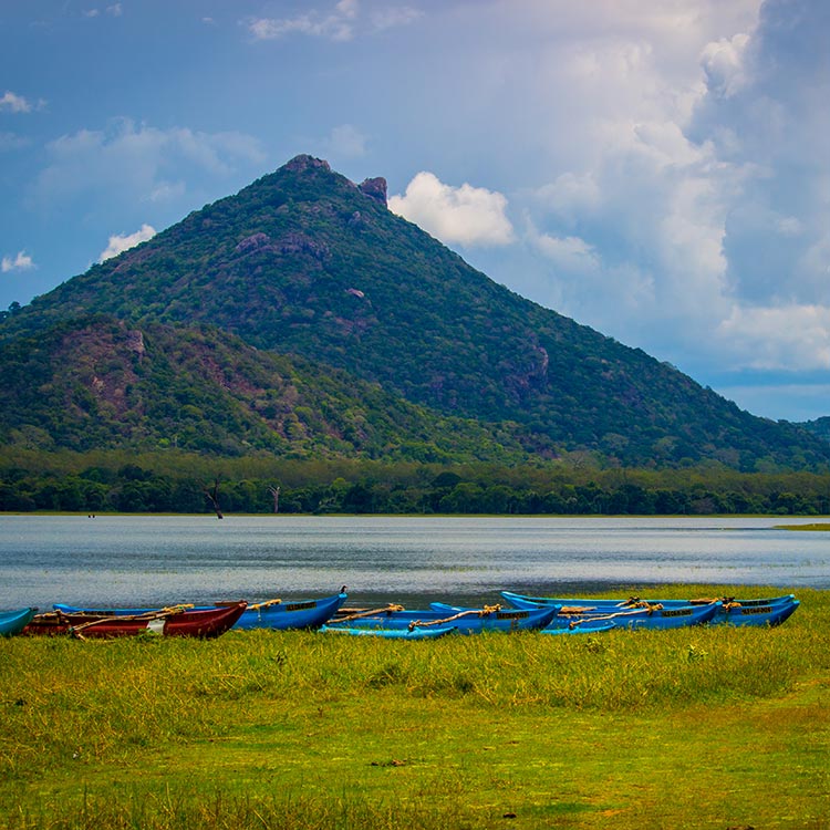 The Kandalama lake, and the scenic greenery at Dambulla
