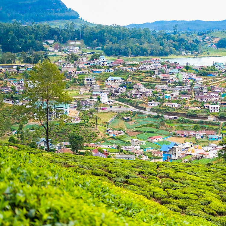 The Beautiful View of Nuwara Eliya, along with the lake and the city buildings