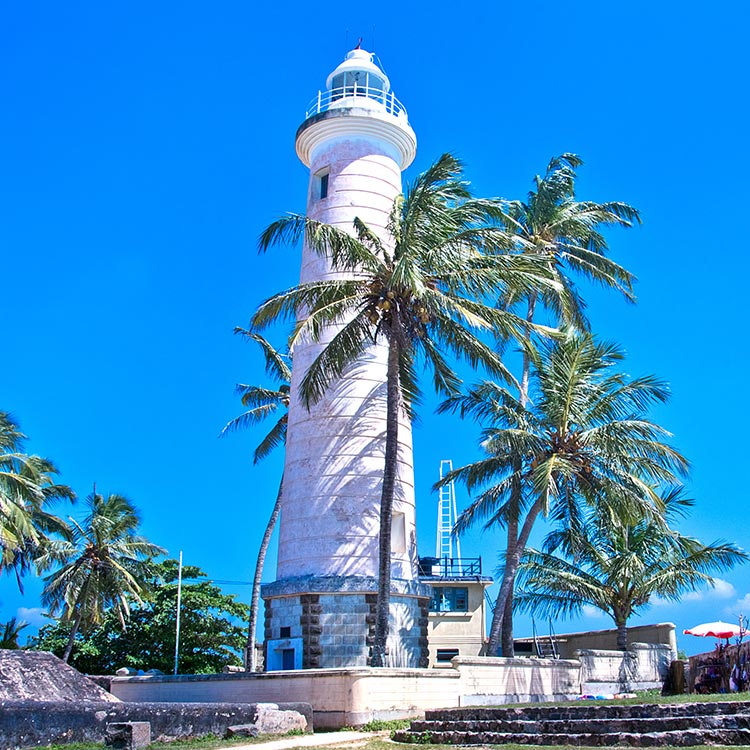 The white tall lighthouse that stands amidst a few coconut trees at galle fort