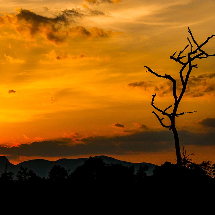 The Wonderful Sunset at Ritigala
