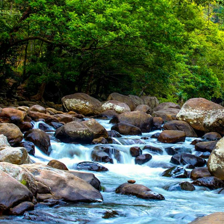 A Waterway Flowing Amidst Rocks through a Verdant Surrounding at Belihuloya