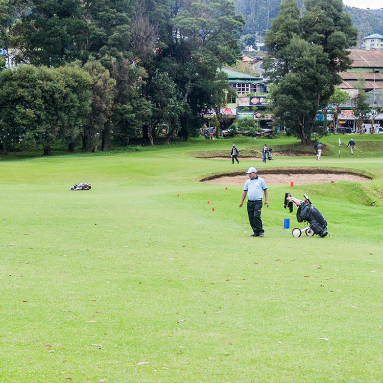 Golf Players at Nuwara Eliya