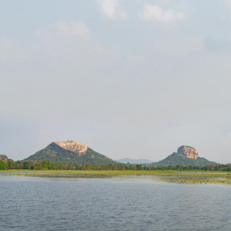 A Scenic View of the Lake, Sigiriya Rock Fortress, and the Pidurangala Rock