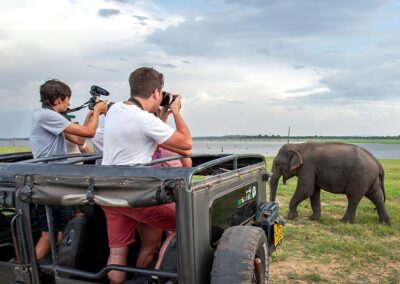 Two foreign boys capturing an elephant who passes their safari jeep, at Kaudulla National Park