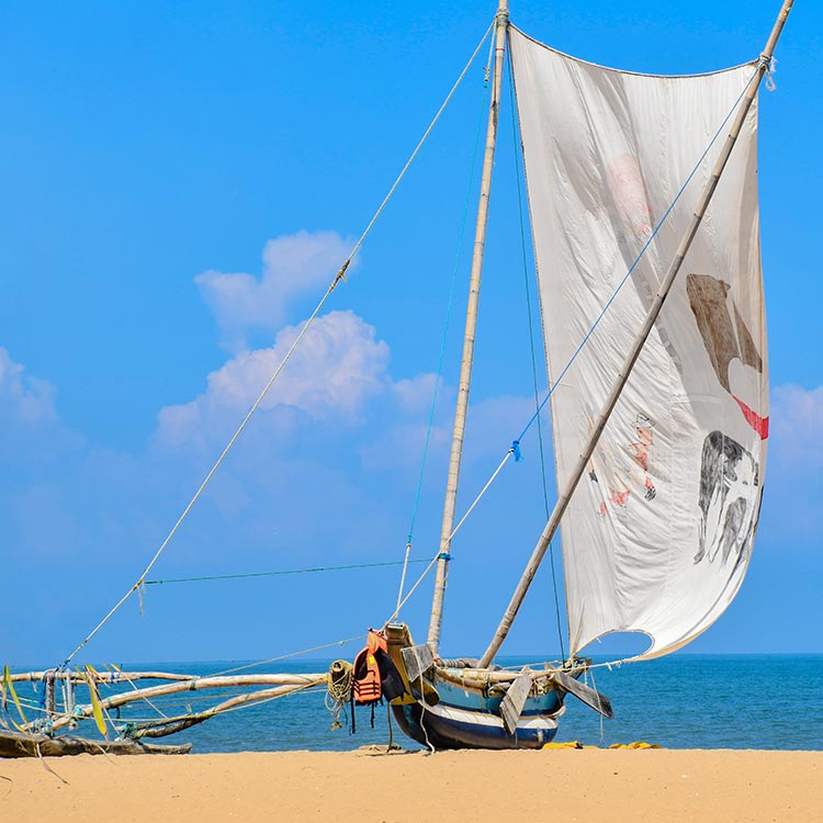 A Traditional Fishing Catamaran on the Shores of Negombo
