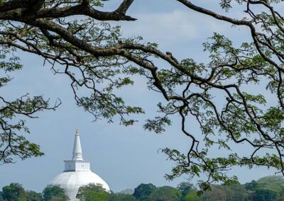 The Beautiful City of Anuradhapura with a lake, and a white stupa far away