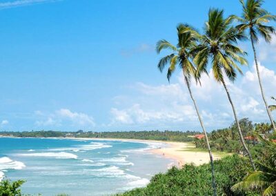 The shores of Bentota along with the ocean and the palm trees