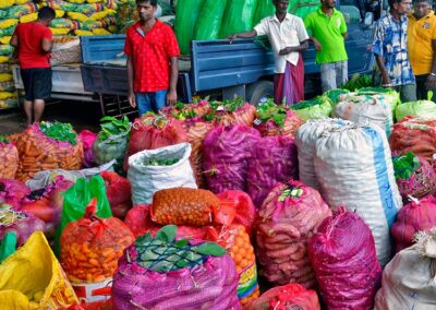 The vegetable sacks and the sellers with vehicles waiting at the Dambulla wholesale vegetable market