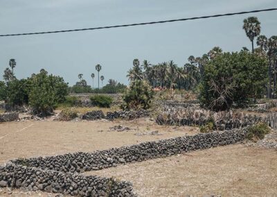 The grey Coral Walls at the Delft Island in Jaffna with its dried surroundings.