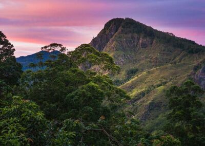 The colorful sunset by the Ella Rock covered with greenery