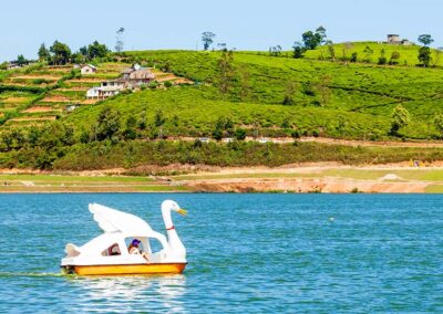 A swan boat in the lake of Gregory at Nuwara Eliya