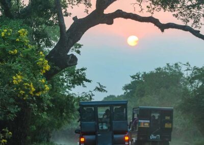 Two safari jeeps going on a dusty road through the jungle at Yala National Park