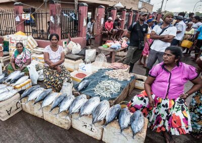 The Sellers and Buyers at Negombo Fish Market
