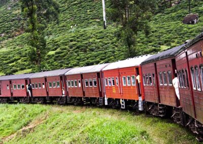 A red train passing through the greenery of Sri Lanka