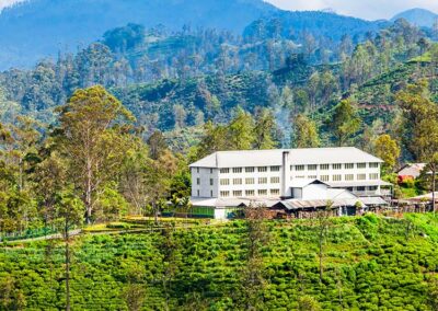 A White color Tea Factory amidst the Greenery of the Tea Plantation