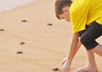 A boy in a yellow T-shirt releasing baby turtles on the shores
