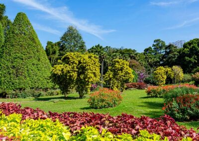 Beautiful Landscapes at the Royal Botanical Garden, Peradeniya