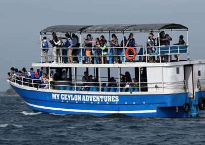 A cruise full of passengers going on a whale-watching tour at Trincomalee